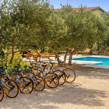 2 Bedroom Cozy Apartment In Bibinje *